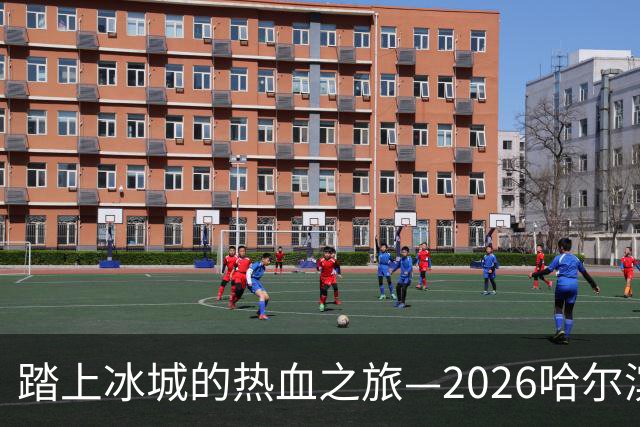 踏上冰城的热血之旅—2026哈尔滨马拉松开跑！